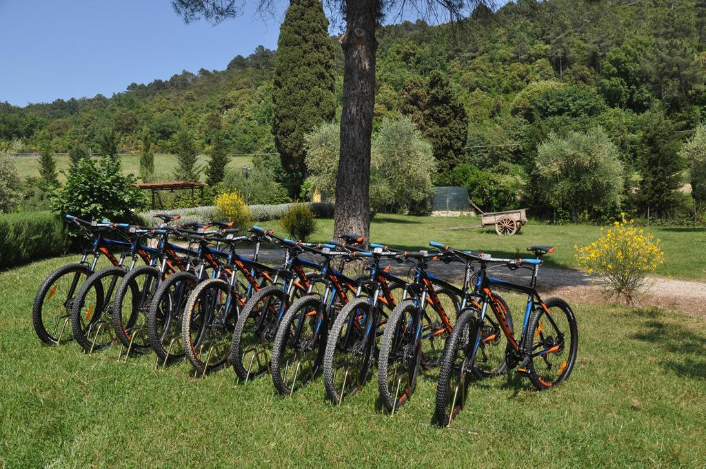 Agriturismo Eco-Bio Belmonte Vacanze Montaione Extérieur photo