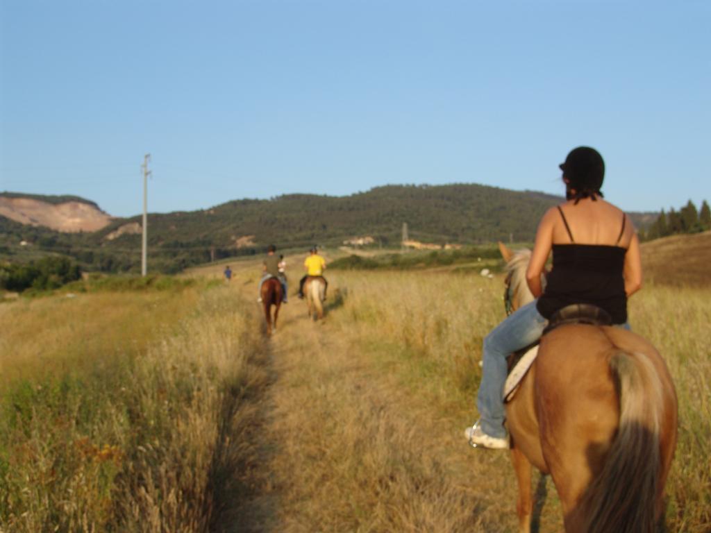 Agriturismo Eco-Bio Belmonte Vacanze Montaione Extérieur photo