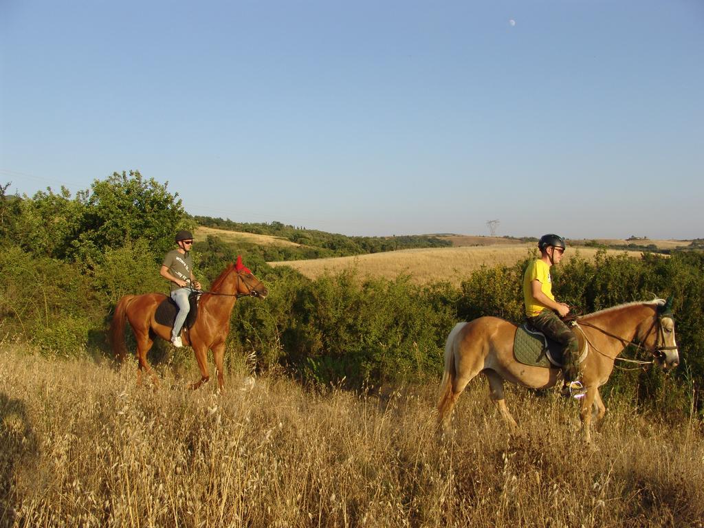 Agriturismo Eco-Bio Belmonte Vacanze Montaione Extérieur photo