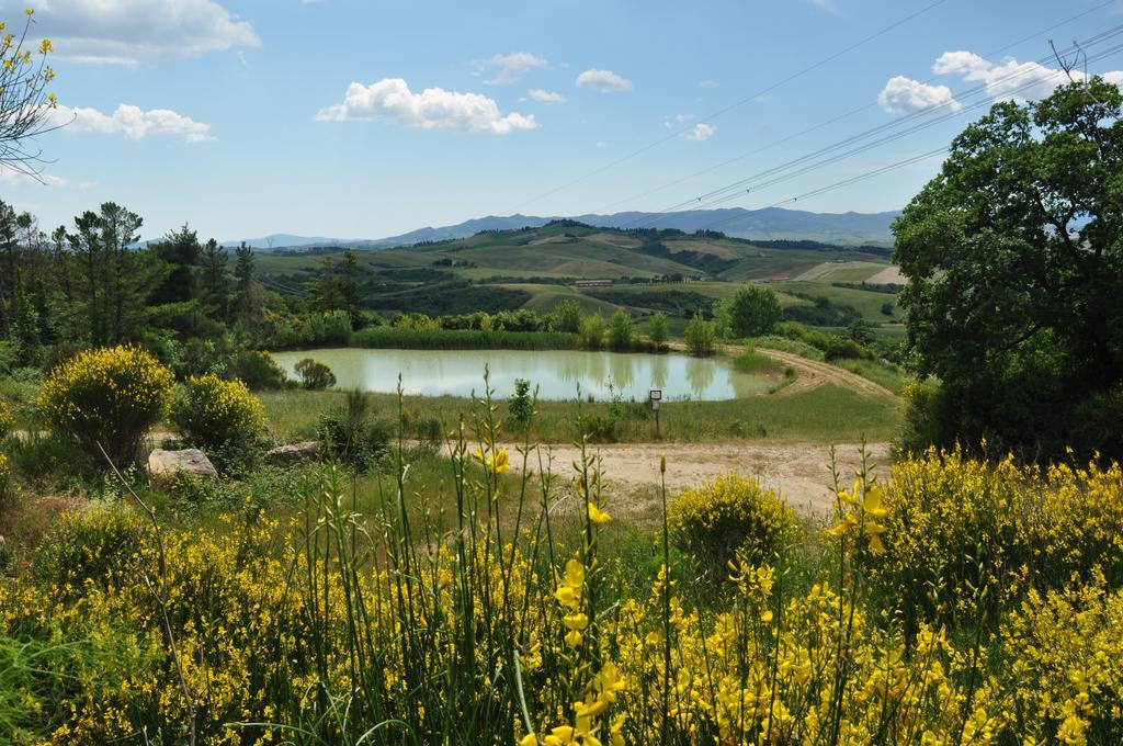 Agriturismo Eco-Bio Belmonte Vacanze Montaione Extérieur photo