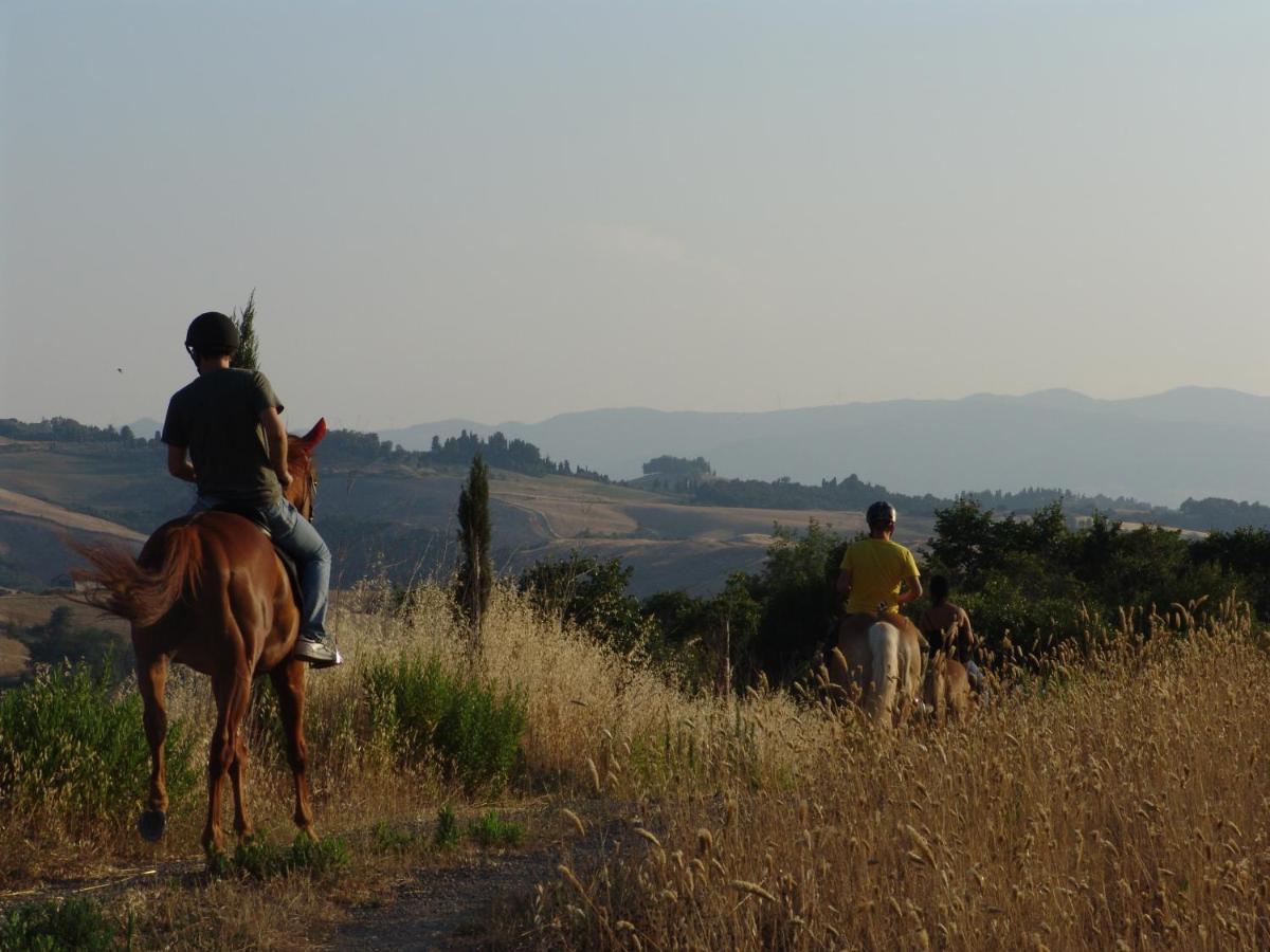 Agriturismo Eco-Bio Belmonte Vacanze Montaione Extérieur photo